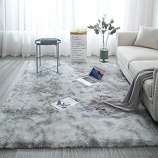 HI-Homes Silver Mint 4X6 Feet Shaded Silk Touch Shaggy Carpet for Living Room Rectangular; Area Rug for Bedroom Floor