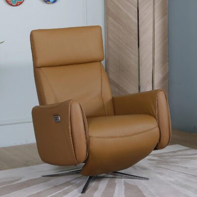 Roque 1 Seater functional Imported Genuine Leather Motorized Power Recliner chair