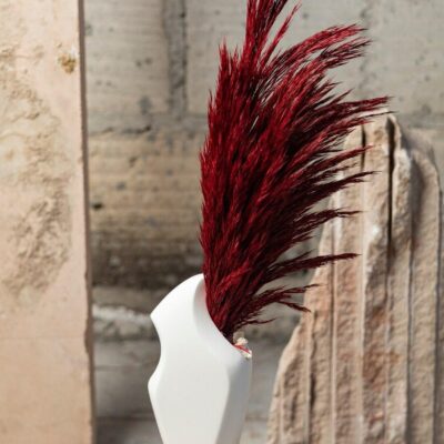 Liscio Vase for Flower | Decorative Vase for Living Room Decor